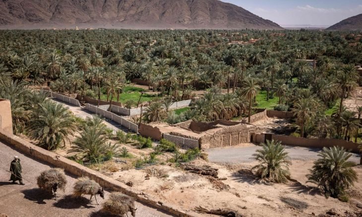 على الحدود مع الجزائر.. “دار العدة” المغربية مكتبة تشد إليها الرحال