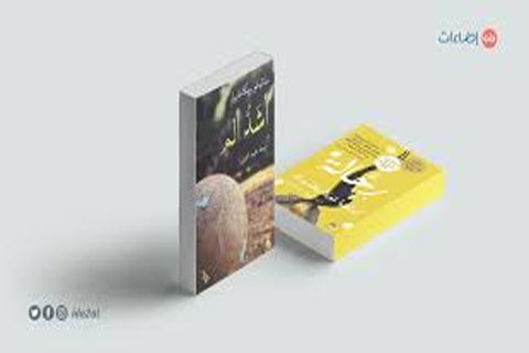 الروايات المترجمة إلى العربية .. خيار ثقافي أو تجاري