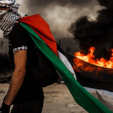 العدوان على غزة بين "تيك توك" و"إكس"