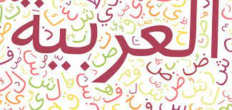 مغالطات الترجمة إلى العامية