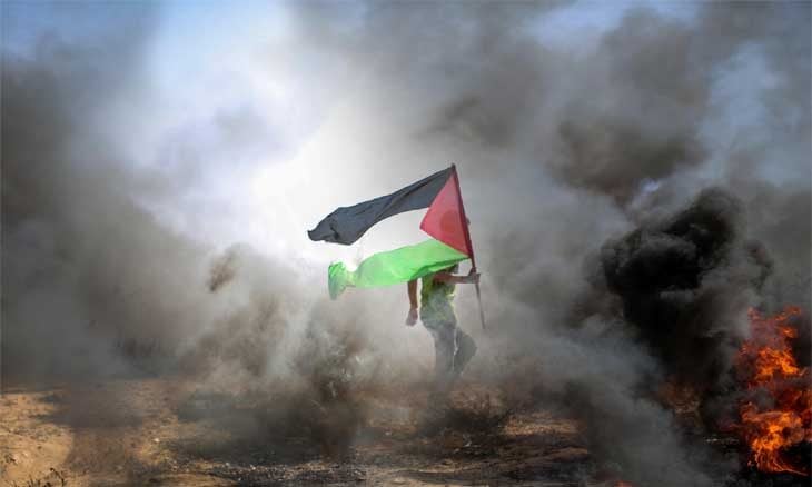 فلسطين في مملكة الضباع