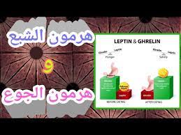 7 هرمونات تمثل نظامًا متقنًا للتحكم في الجوع والشبع والوزن