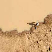 أكثر المناطق جفافاً في العالم"... ما هو واقع المياه في البلدان العربية؟
