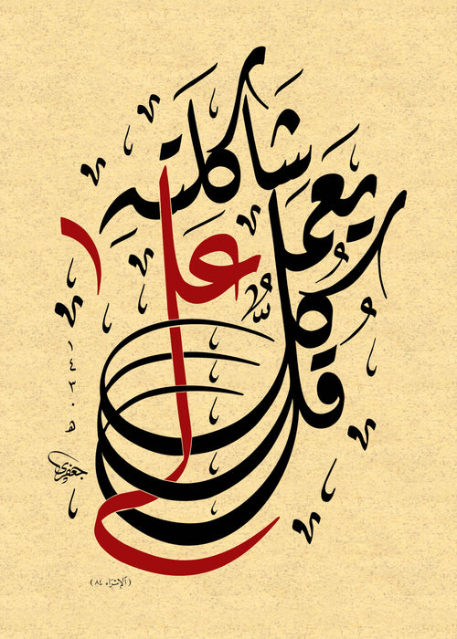 قل كلٌّ يعمل على شاكلته