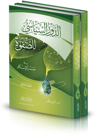 الدور السياسي للصفوة في صدر الإسلام 2/1